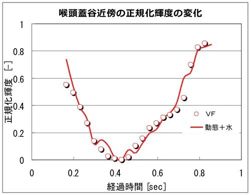 嚥下造影とシミュレーションの定量的比較