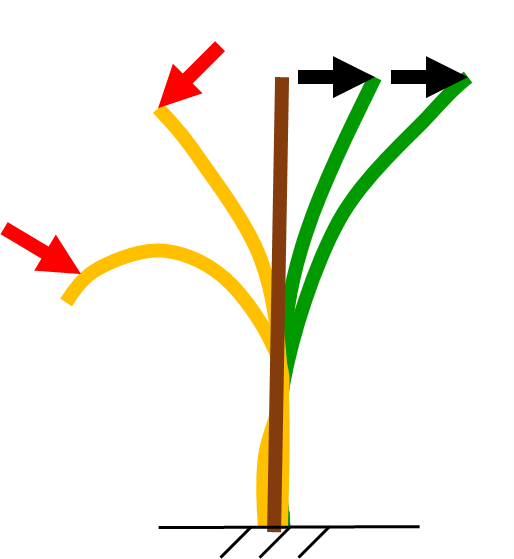荷重方法の図：黒矢印が線形、赤矢印が非線形